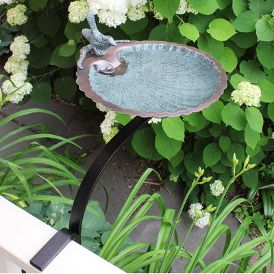 Scallop Shell Birdbath with Rail Mount Bracket