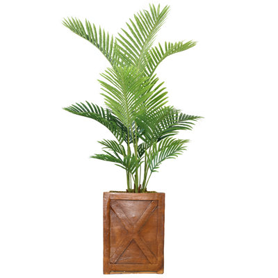 Palm Tree in Planter