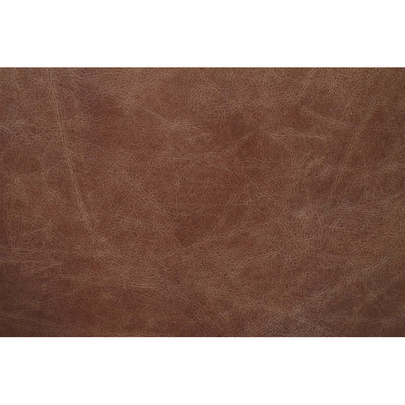 Fauteuil de conférence en cuir véritable Brixham, Whisky rétro