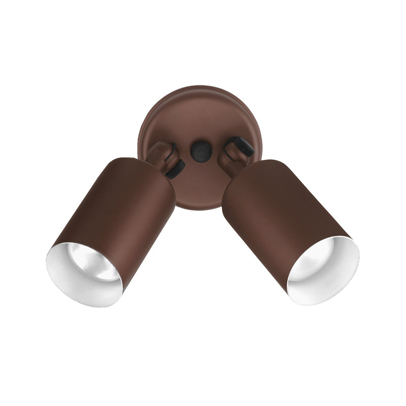 Projecteur de 50 watts Buller, Bronze