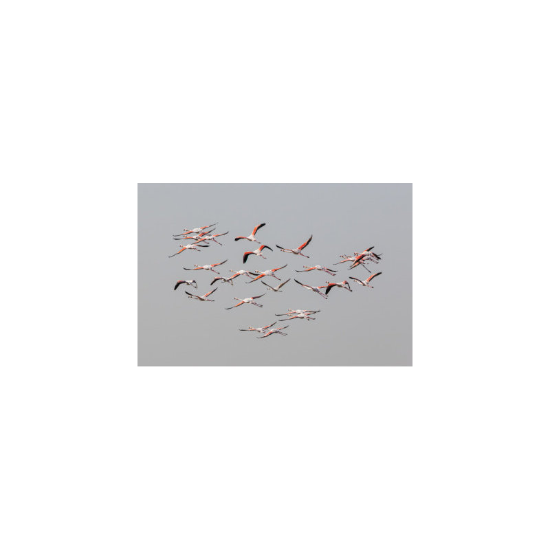 Wrapped Canvas Print, 60.96 cm H x 91.44 cm W