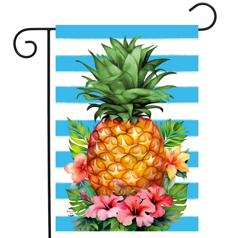 Drapeau de jardin ananas et rayures