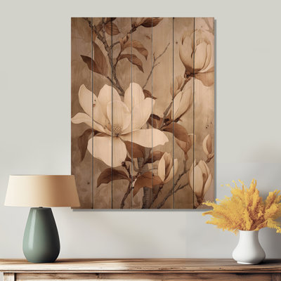 " White Brown Magnolias Nature Serenity "