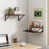Black is out of stock