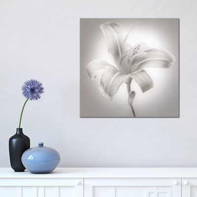 Tiger Lily I 1 Piece Wrapped Canvas Wall Art