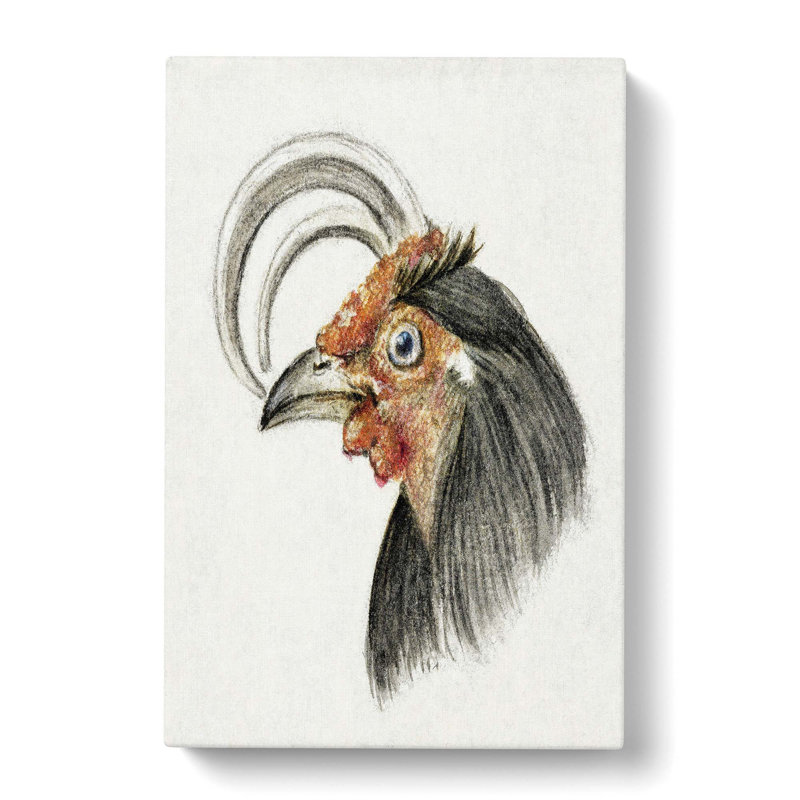 Head Of A Rooster by Jean Bernard - Wrapped Canvas Print, 76cm H x 50cm W x 3cm D