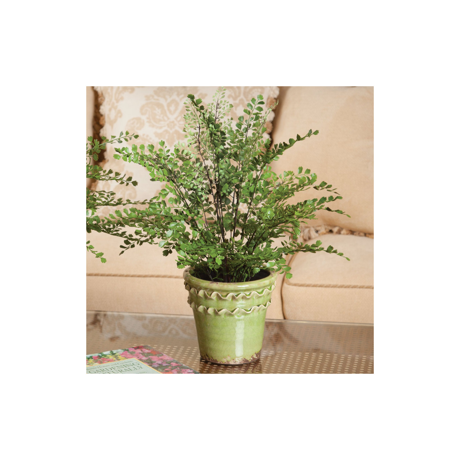Queensland 18'' Faux Maidenhair