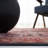 Pashen Performance Machine Washable Oriental Rug-50143154
