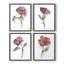 «Watercolor Floral Contour I», ensemble de 4-223322681-223322680