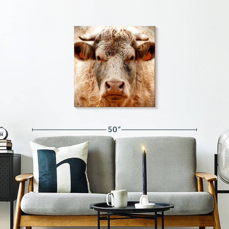 Brampt Mighty Bull, 24" H x 24" W