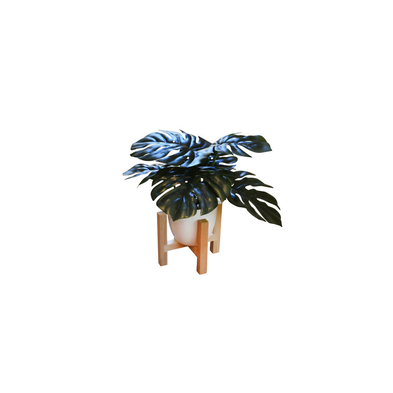 Plantes à feuilles 10 "avec support en bois Denny Monstera