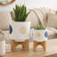 Jardinière S / 2 5/8 po Funky