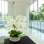 Orchid Arrangement in a Round Fiberstone Planter
