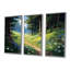«Green Forest Path White Blooming Flowers» - ensemble d'art mural imprimé campagne-258773510-258773511