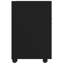 Makenzlie 33cm Wide File Cabinet-1158997310