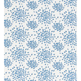 FIREWORKS COTTON PRINT