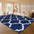 AVA NAVY