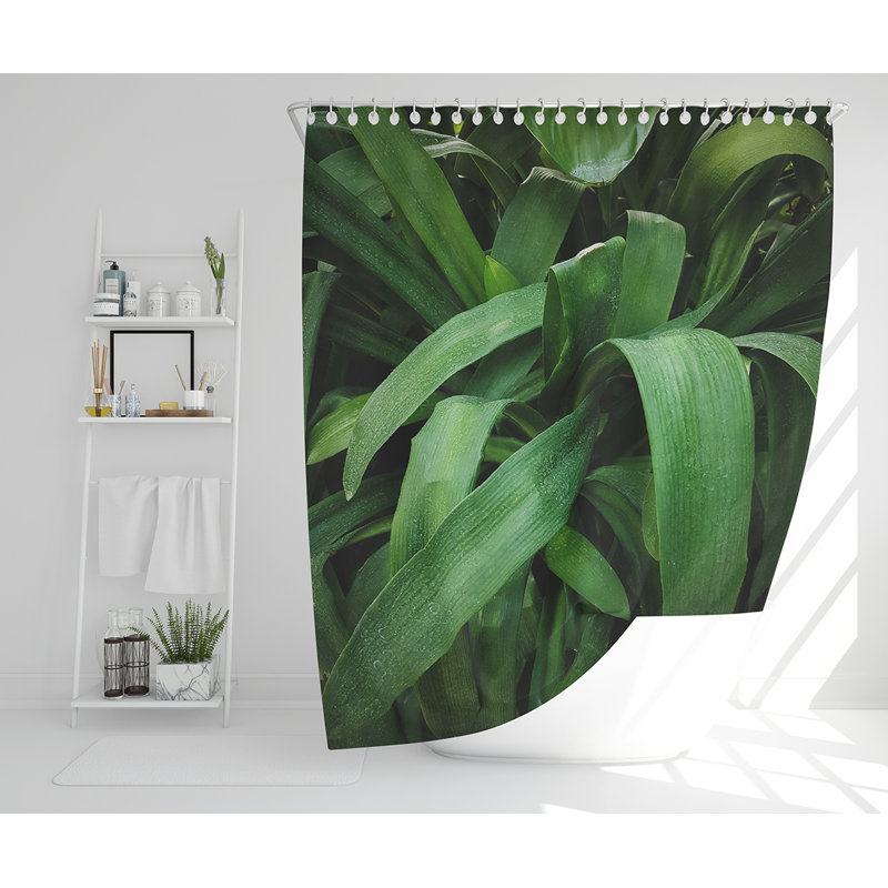 Elizabeth-Alice Polyester Shower Curtain
