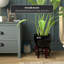 Fishbowl Stand-803469893