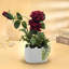 Nekayla Hydrangea Arrangement in Vase