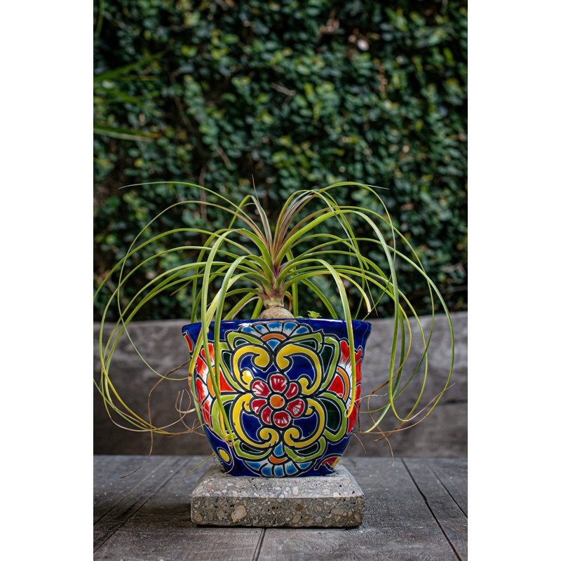 Handmade Ceramic Planter, 7" H x 9" W x 9" D