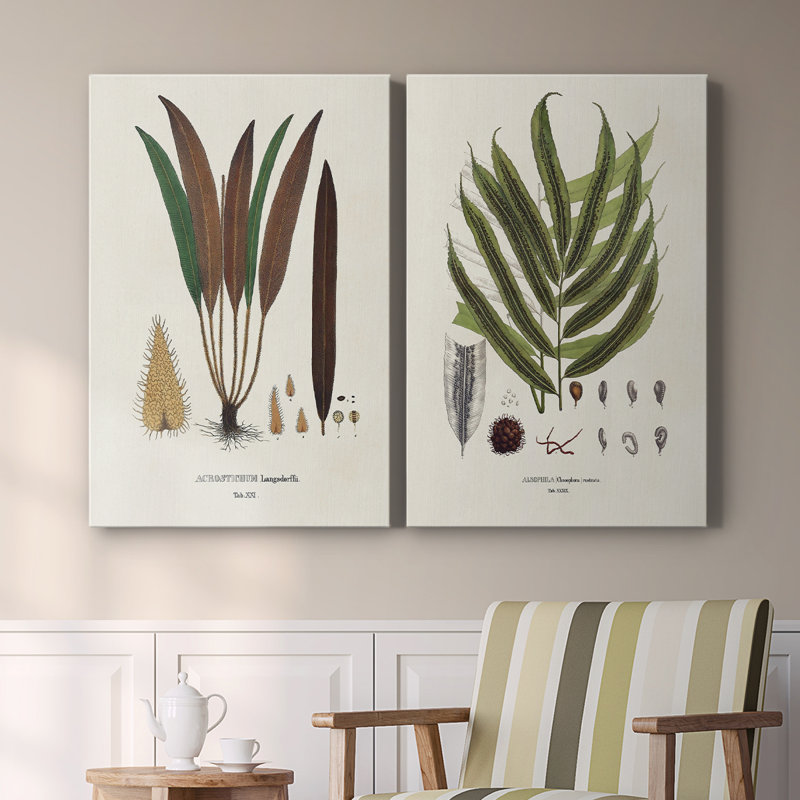 «Botanical Society Ferns I», toile tendue avec châssis - Prêt à accrocher, H 27 po x l 36 po