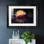 Photographie, étude, nénuphar encadré sur papier-1991958703-1991958707