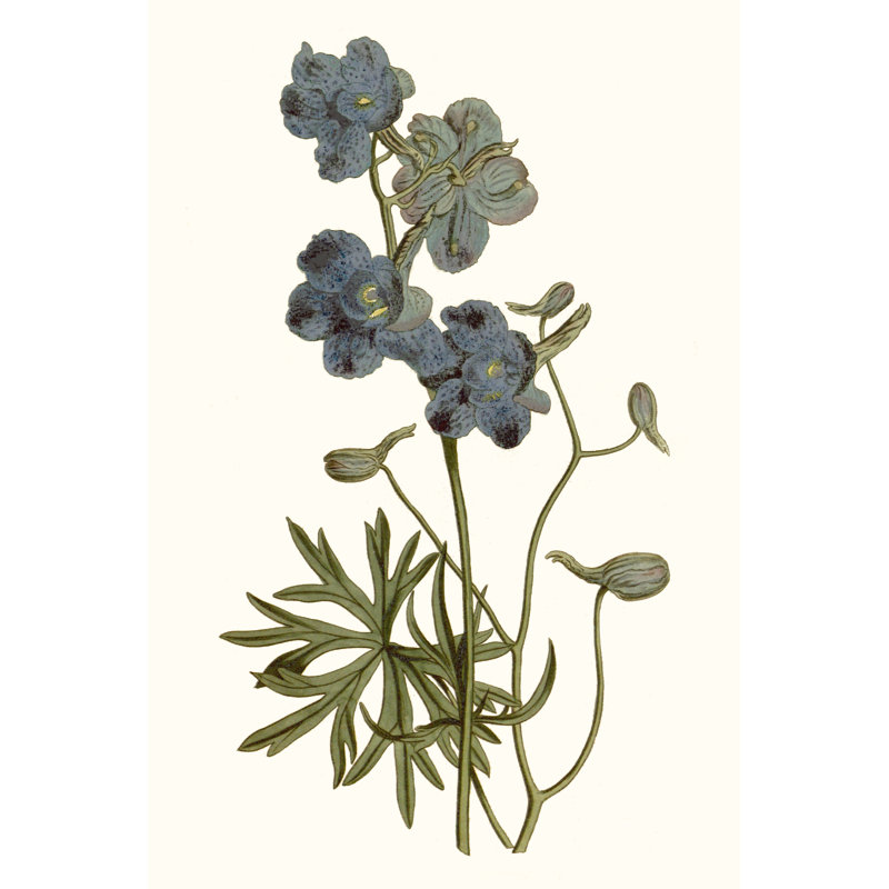 «Soft Blue Botanicals V» par Curtis - impression sur toile tendue, H 12 po x l 8 po