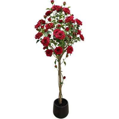 Arrangement