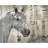 Rustic White Horse Polyester Placemat | Western Bedroom Decor