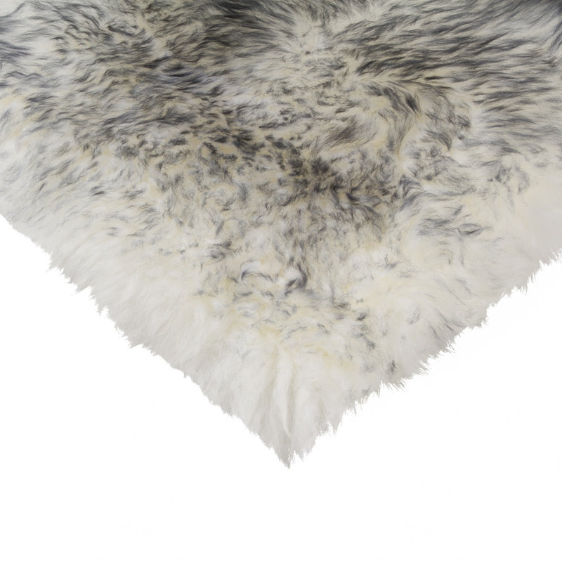 Coussins de chaise en laine, 1, Naturel, 16 po x 16 po