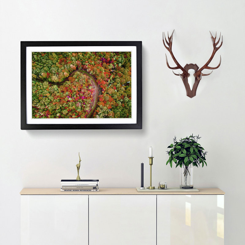 Road Through the Forest - Picture Frame Graphic Art Print, 40cm H x 60cm W x 2cm D, Black