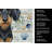 Wirehaired Black and Tan Dachshund Coastal Sea Glass Kitchen Towel-871463517
