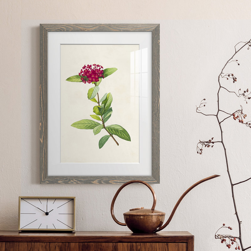 «Pretty Botanicals II», cadre photo, H 32 po x l 23 po x P 1 po, Encadré gris