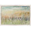 «Grass Memories» par Patricia Pinto, reproduction sur toile-31936806-31475766