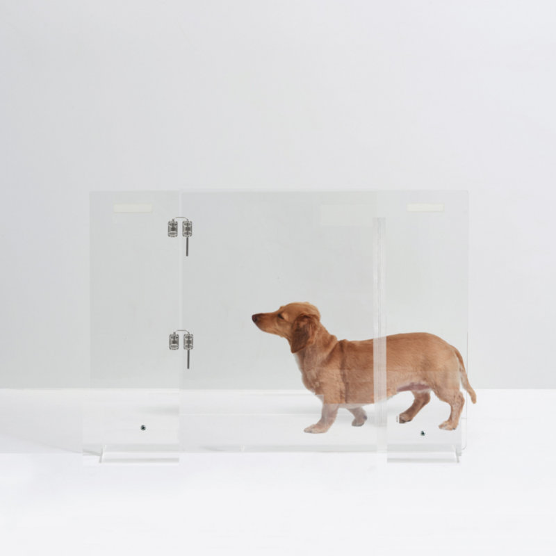 Clear Freestanding Pet Gate with Door, 30" W x 30" H
