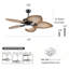 Ventilateur de plafond à 5 pales 52 pouces avec lumière et télécommande, moteur DC à 6 vitesses Tropical-281565890