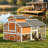 Spacious Chicken House