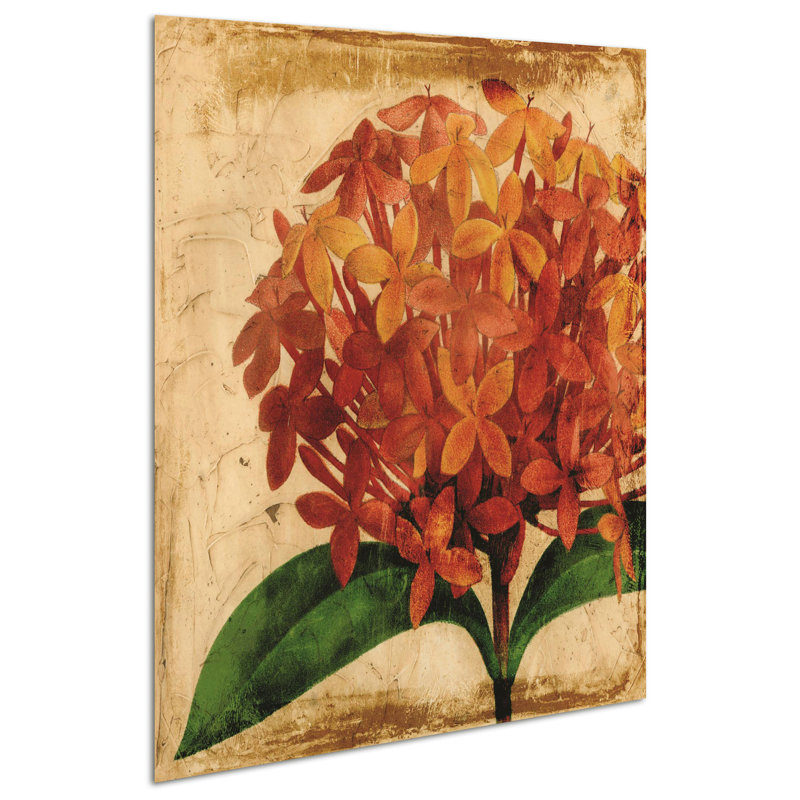 " Vibrant Antique Hydrangea "