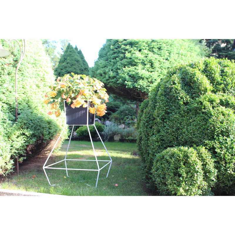 Elinna Handmade Planter, 90cm H x 60cm W x 60cm D