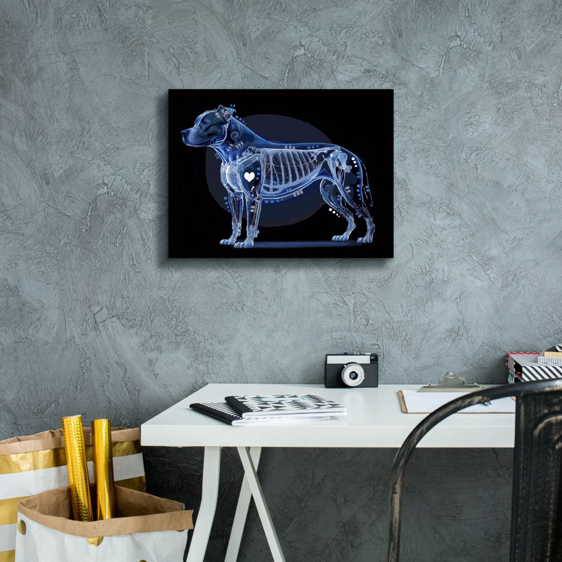  «Xray Pitbull» par Dean Russo, art mural sur toile, 16 po x 12 po, H 12 po x l 16 po