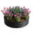2Pcs W840116764 Galvanized Metal Planter For Herbs And Succulents, - Rust Coating, Round Design Resistance Vegetables Flowers, Structure-1739009628-1739009617