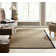 Wininger Indoor / Outdoor Rug