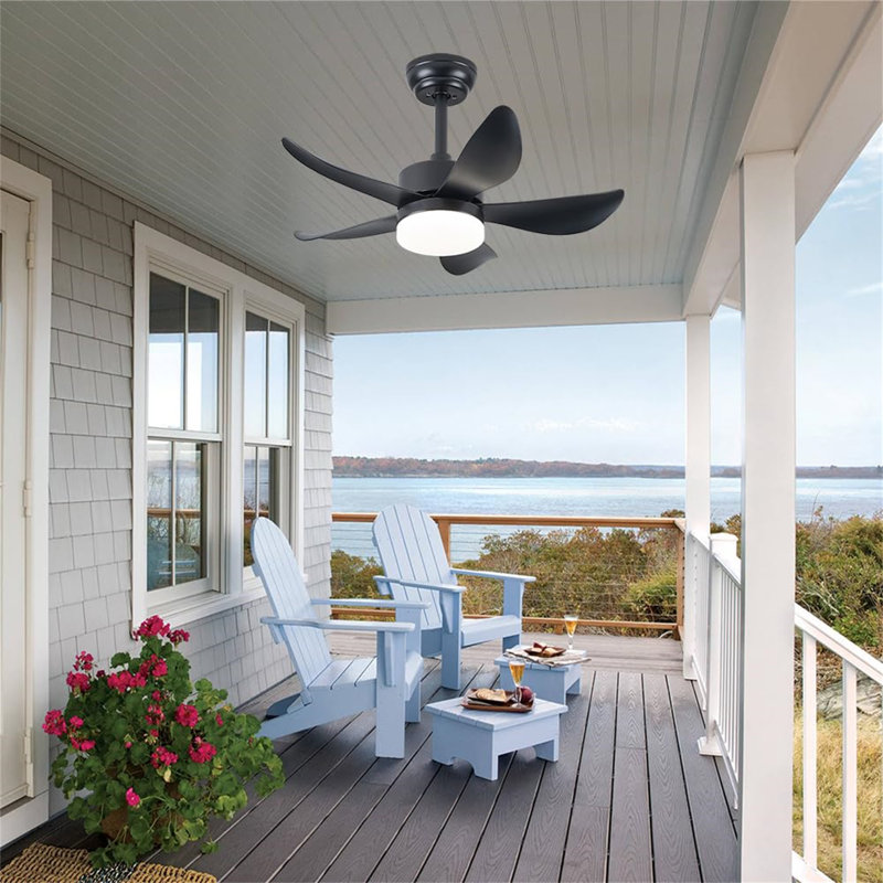 Ceiling Fan with LED Lights, Black