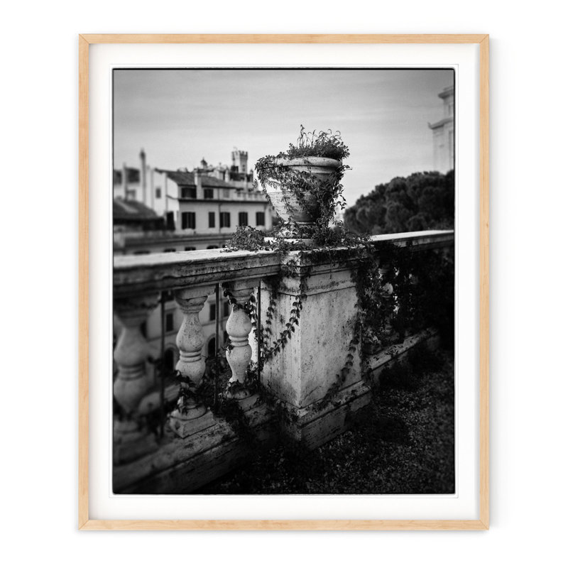 Italian Ivy - Picture Frame Photograph, 35.5" H x 29.5" W, Natural Framed