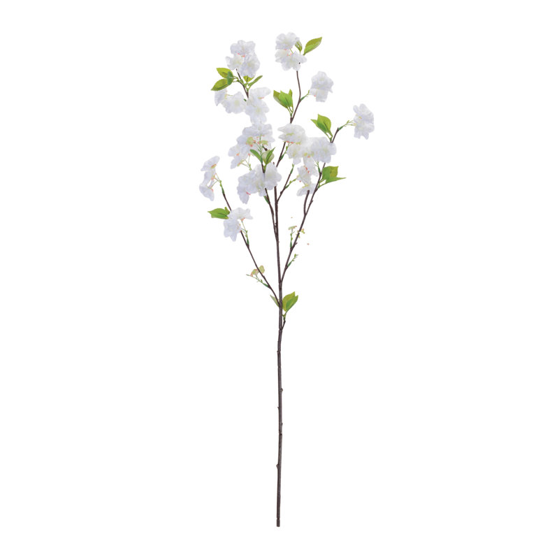 Apple Blossom Branch