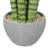 10.5 " H Faux Snake Plant Succulent in Plastic Pot