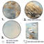 Beige et bleu mouette tranquillité sur toile-852593992-852593989