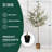 Fake Tree With Realistic Wood Trunk And Natural Fruits