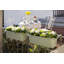 Jardinière en plastique à auto-arrosage-57408177